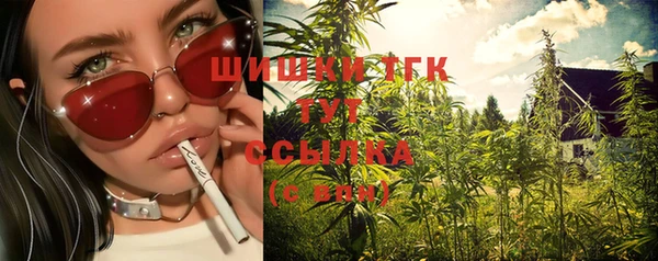тгк Абаза