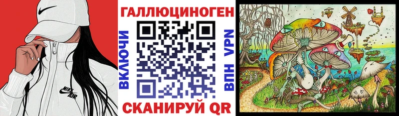 Псилоцибиновые грибы Cubensis  Пошехонье 